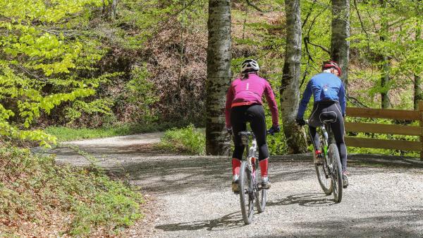 Couple cycling along a trail